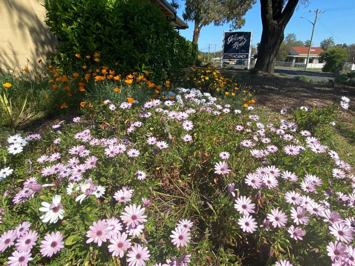 Gulgong Motel Exterior photo